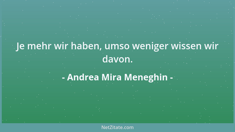 Andrea Mira Meneghin - Je mehr wir haben, umso weniger wissen wir davon....