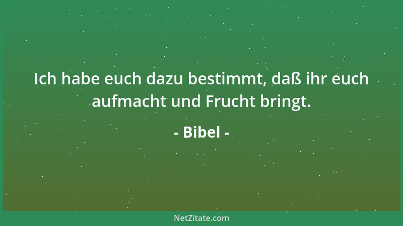 Bibel - Ich habe euch dazu bestimmt, daß ihr euch aufmacht und Frucht bringt....
