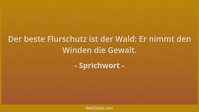 Sprichwort - Der beste Flurschutz ist der Wald: Er nimmt den Winden die Gewalt....