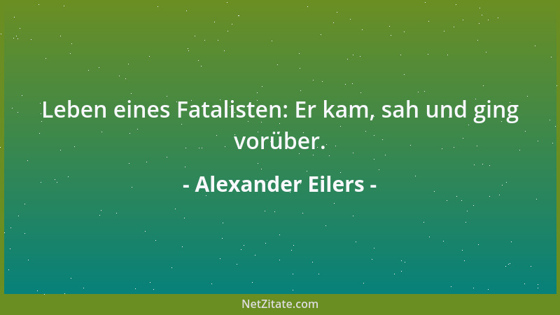 Alexander Eilers - Leben eines Fatalisten: Er kam, sah und ging vorüber....