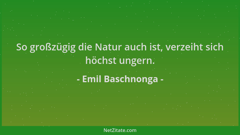 Emil Baschnonga - So großzügig die Natur auch ist, verzeiht sich höchst ungern....