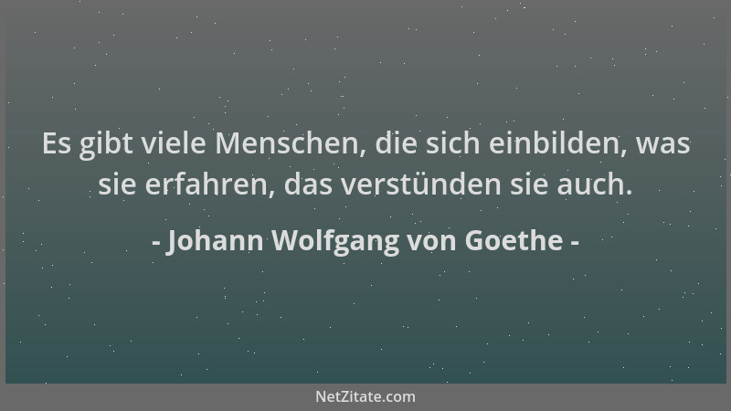 Johann Wolfgang von Goethe - Es gibt viele Menschen, die sich einbilden, was sie erfahren, das verstünden sie auch....