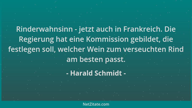 Harald Schmidt - Rinderwahnsinn - jetzt auch in Frankreich. Die Regierung hat eine Kommission gebildet, die festlegen soll,...
