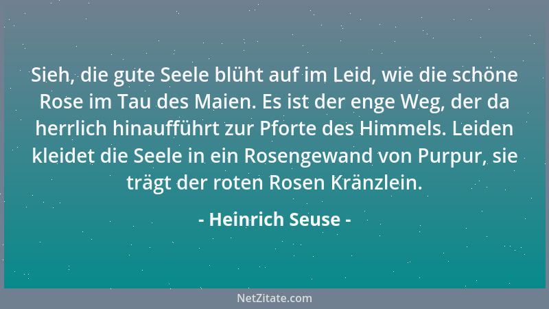Heinrich Seuse - Sieh, die gute Seele blüht auf im Leid, wie die schöne Rose im Tau des Maien. Es ist der enge Weg, der da...