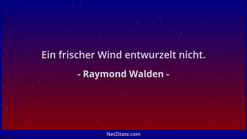 Raymond Walden - Ein frischer Wind entwurzelt nicht....
