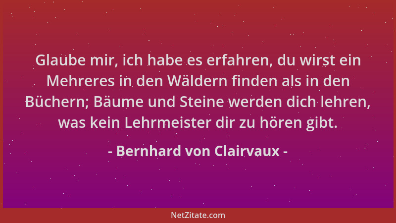 Bernhard von Clairvaux - Glaube mir, ich habe es erfahren, du wirst ein Mehreres in den Wäldern finden als in den Büchern;...