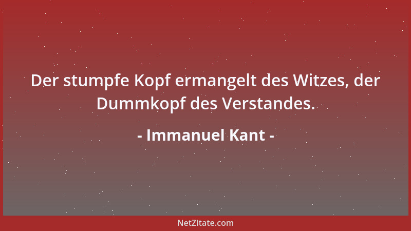 Immanuel Kant - Der stumpfe Kopf ermangelt des Witzes, der Dummkopf des Verstandes....