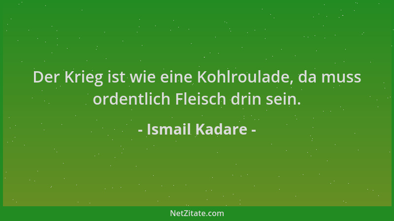 Ismail Kadare - Der Krieg ist wie eine Kohlroulade, da muss ordentlich Fleisch drin sein....