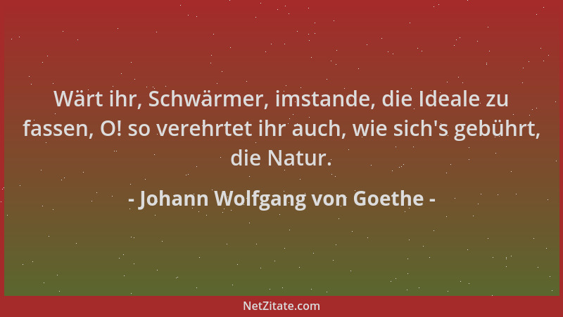 Johann Wolfgang von Goethe - Wärt ihr, Schwärmer, imstande, die Ideale zu fassen, O! so verehrtet ihr auch, wie sich 's gebü...