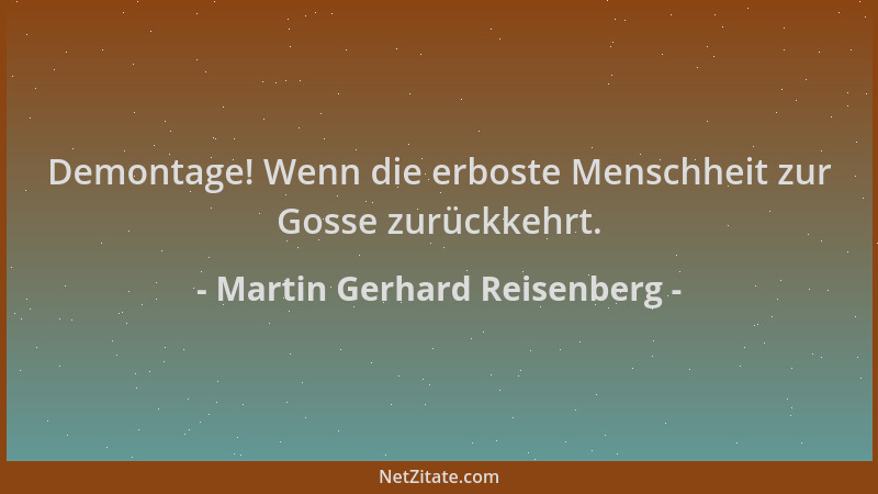 Martin Gerhard Reisenberg - Demontage! Wenn die erboste Menschheit zur Gosse zurückkehrt....