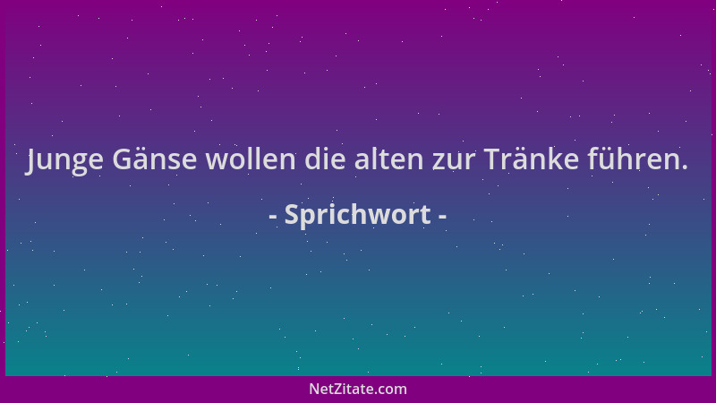 Sprichwort - Junge Gänse wollen die alten zur Tränke führen....