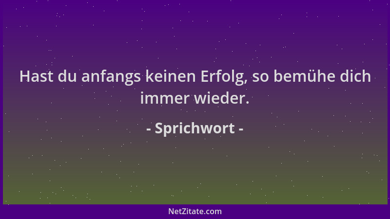 Sprichwort - Hast du anfangs keinen Erfolg, so bemühe dich immer wieder....