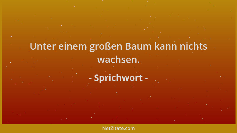 Sprichwort - Unter einem großen Baum kann nichts wachsen....