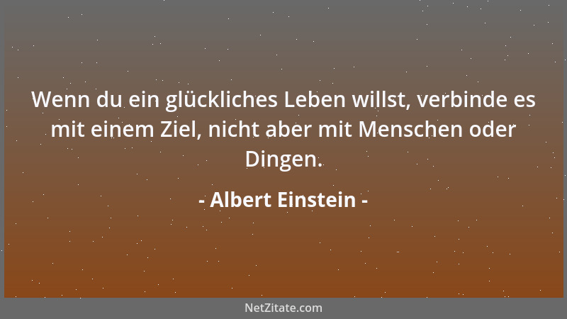 Albert Einstein - Versuch nicht, ein Mann des Erfolgs zu werden. Werde lieber ein Mann von Wert!...