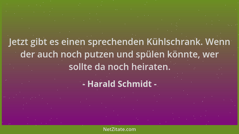 Harald Schmidt - Jetzt gibt es einen sprechenden Kühlschrank. Wenn der auch noch putzen und spülen könnte, wer sollte da no...