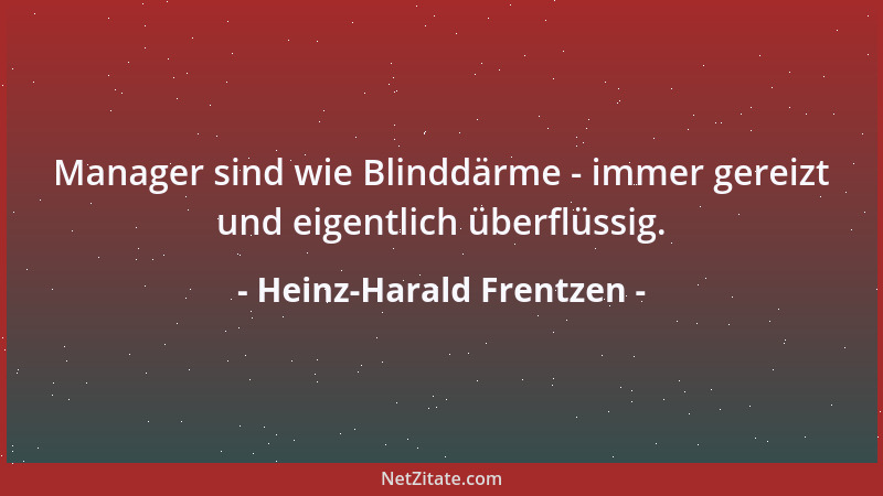 Heinz-Harald Frentzen - Manager sind wie Blinddärme - immer gereizt und eigentlich überflüssig....