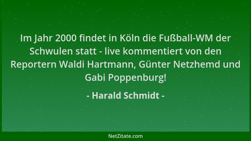 Harald Schmidt - Im Jahr 2000 findet in Köln die Fußball-WM der Schwulen statt - live kommentiert von den Reportern Waldi H...