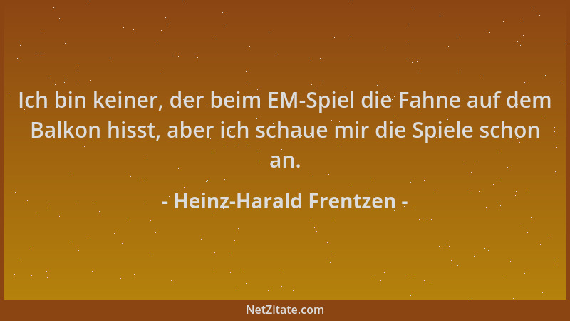 Heinz-Harald Frentzen - Ich bin keiner, der beim EM-Spiel die Fahne auf dem Balkon hisst, aber ich schaue mir die Spiele sc...