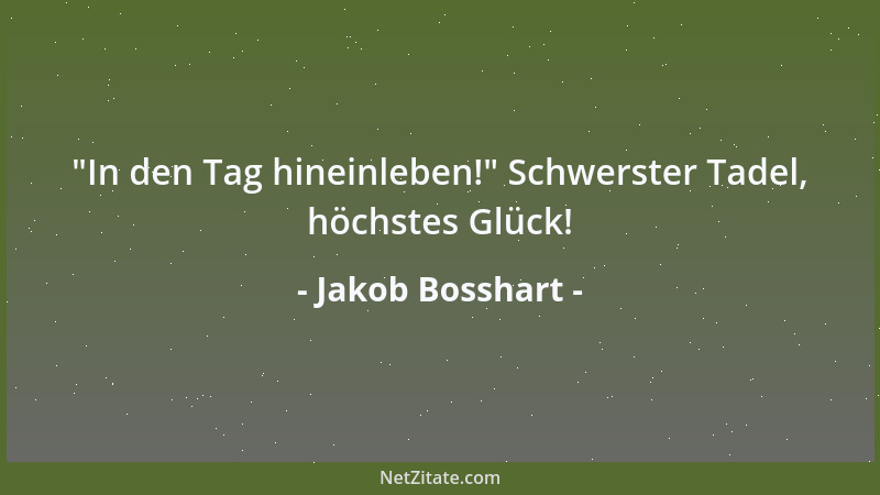 Jakob Bosshart -  "In den Tag hineinleben! " Schwerster Tadel, höchstes Glück!...