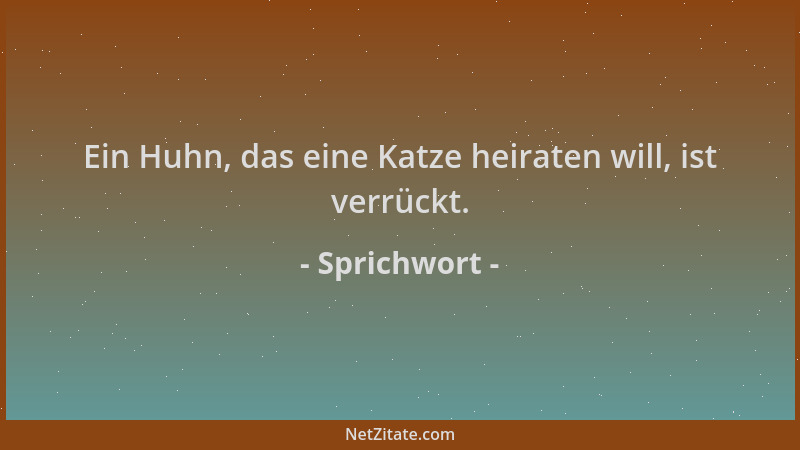 Sprichwort - Ein Huhn, das eine Katze heiraten will, ist verrückt....