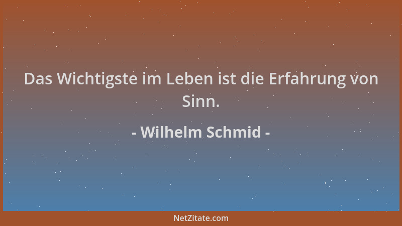 Wilhelm Schmid - Das Wichtigste im Leben ist die Erfahrung von Sinn....