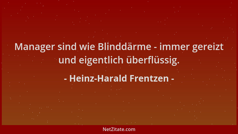 Heinz-Harald Frentzen - Manager sind wie Blinddärme - immer gereizt und eigentlich überflüssig....