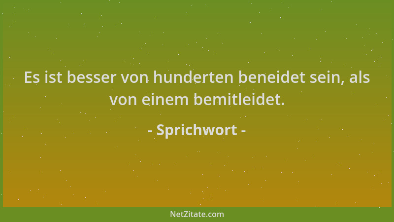Sprichwort - Es ist besser von hunderten beneidet sein, als von einem bemitleidet....