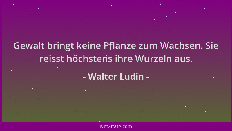 Walter Ludin - Gewalt bringt keine Pflanze zum Wachsen. Sie reisst höchstens ihre Wurzeln aus....