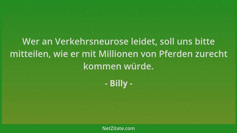 Billy - Wer an Verkehrsneurose leidet, soll uns bitte mitteilen, wie er mit Millionen von Pferden zurecht kommen würde....