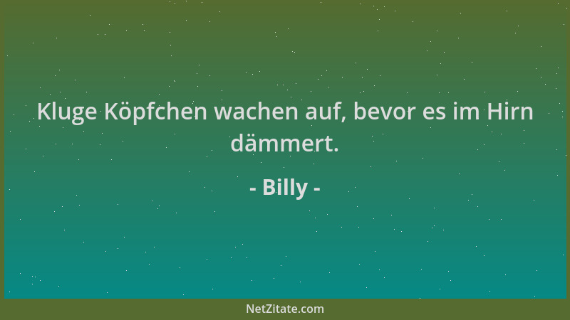 Billy - Kluge Köpfchen wachen auf, bevor es im Hirn dämmert....