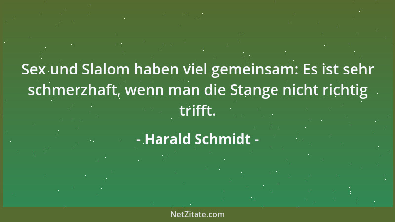 Harald Schmidt - Sex und Slalom haben viel gemeinsam: Es ist sehr schmerzhaft, wenn man die Stange nicht richtig trifft....