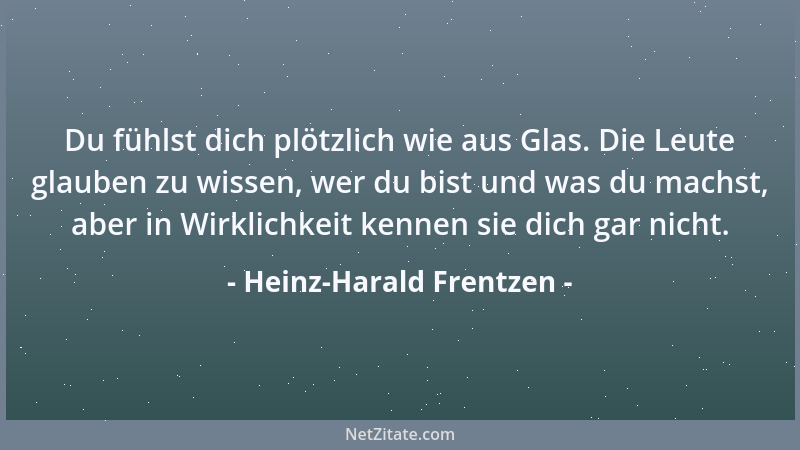 Heinz-Harald Frentzen - Du fühlst dich plötzlich wie aus Glas. Die Leute glauben zu wissen, wer du bist und was du machst,...