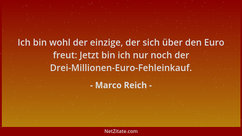 Marco Reich - Ich bin wohl der einzige, der sich über den Euro freut: Jetzt bin ich nur noch der Drei-Millionen-Euro-Fehlei...