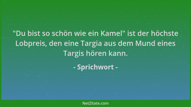 Sprichwort -  "Du bist so schön wie ein Kamel " ist der höchste Lobpreis, den eine Targia aus dem Mund eines Targis hören kan...