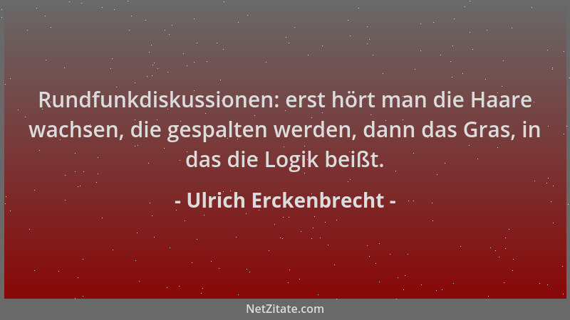 Ulrich Erckenbrecht - Rundfunkdiskussionen: erst hört man die Haare wachsen, die gespalten werden, dann das Gras, in das di...
