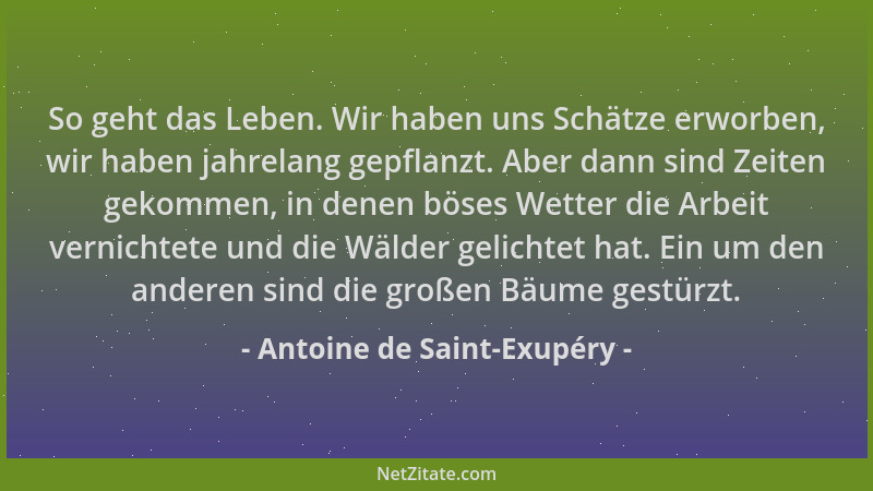 Antoine de Saint-Exupéry - So geht das Leben. Wir haben uns Schätze erworben, wir haben jahrelang gepflanzt. Aber dann sind...