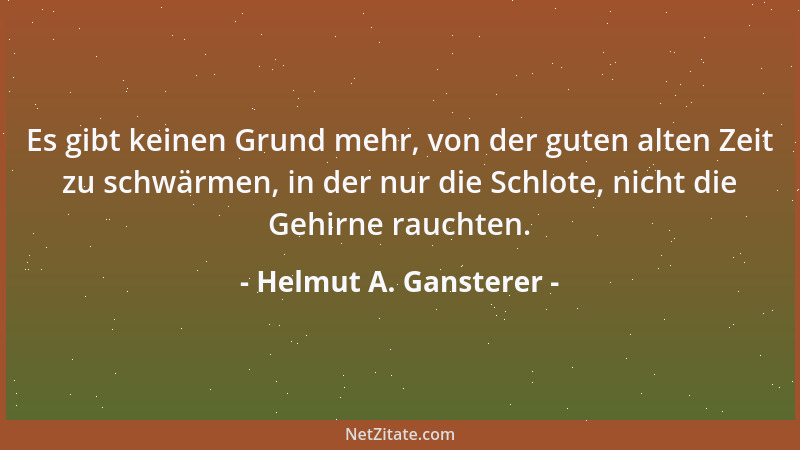 Helmut A. Gansterer - Es gibt keinen Grund mehr, von der guten alten Zeit zu schwärmen, in der nur die Schlote, nicht die G...