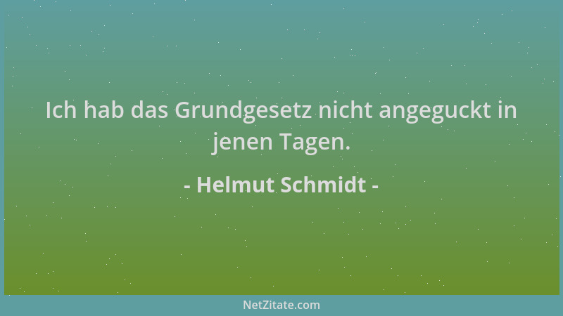 Helmut Schmidt - Ich hab das Grundgesetz nicht angeguckt in jenen Tagen....