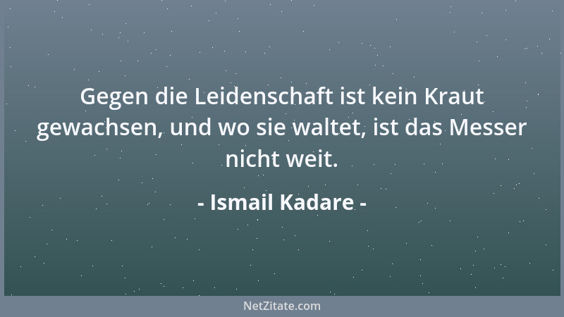 Ismail Kadare - Gegen die Leidenschaft ist kein Kraut gewachsen, und wo sie waltet, ist das Messer nicht weit....