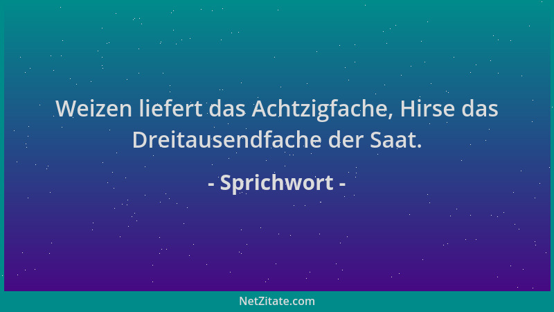 Sprichwort - Weizen liefert das Achtzigfache, Hirse das Dreitausendfache der Saat....