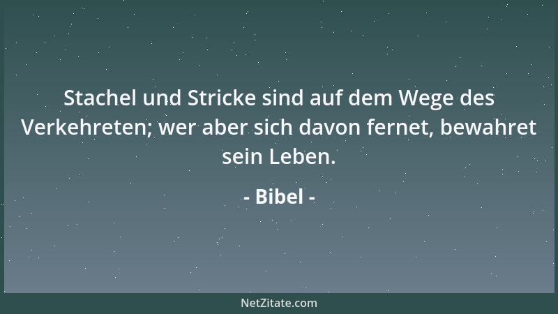 Bibel - Stachel und Stricke sind auf dem Wege des Verkehreten; wer aber sich davon fernet, bewahret sein Leben....