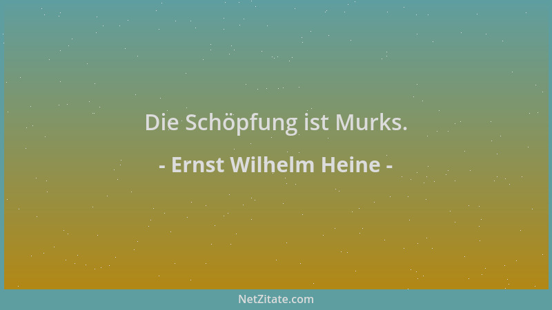 Ernst Wilhelm Heine - Die Schöpfung ist Murks....