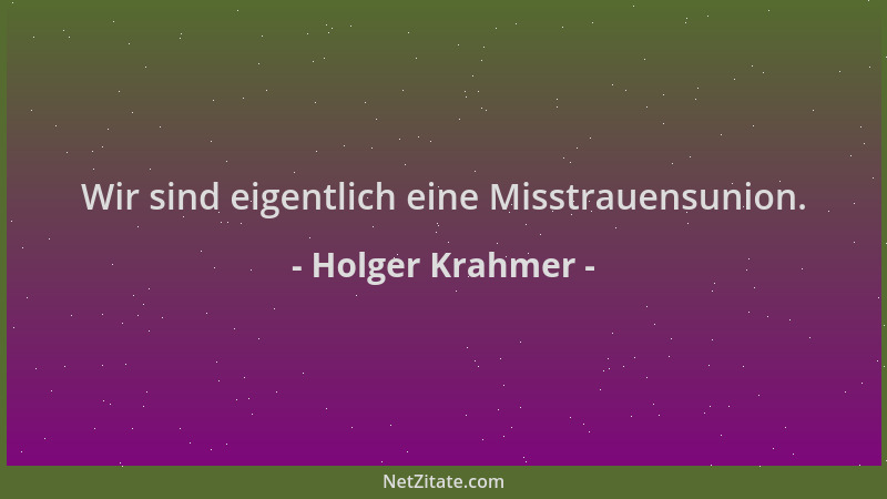 Holger Krahmer - Wir sind eigentlich eine Misstrauensunion....
