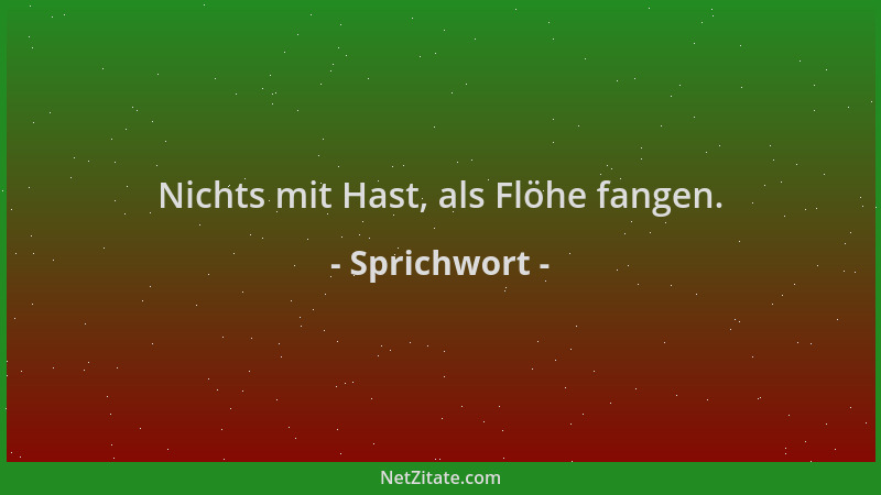 Sprichwort - Nichts mit Hast, als Flöhe fangen....