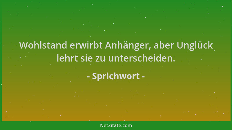 Sprichwort - Wohlstand erwirbt Anhänger, aber Unglück lehrt sie zu unterscheiden....