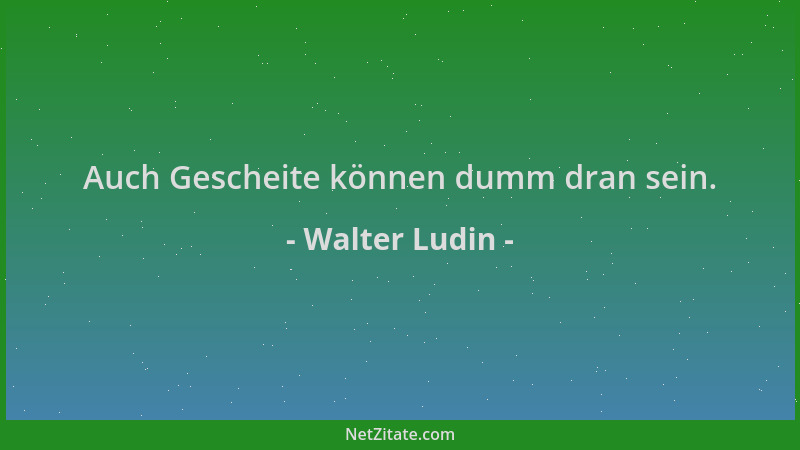 Walter Ludin - Auch Gescheite können dumm dran sein....