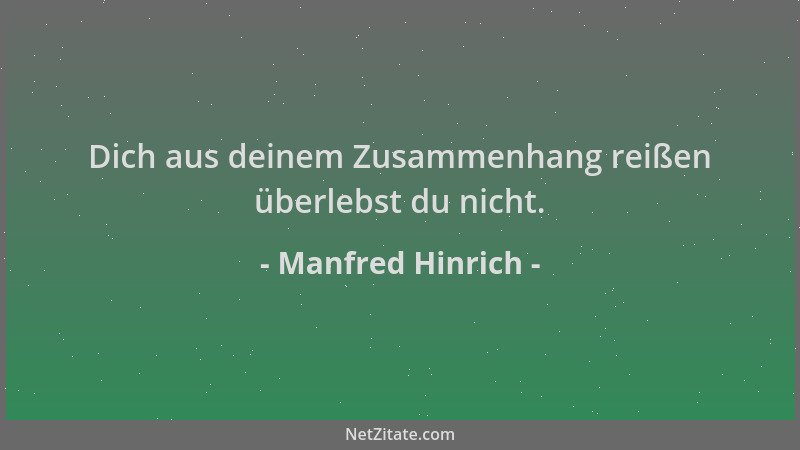 Manfred Hinrich - Dich aus deinem Zusammenhang reißen überlebst du nicht....