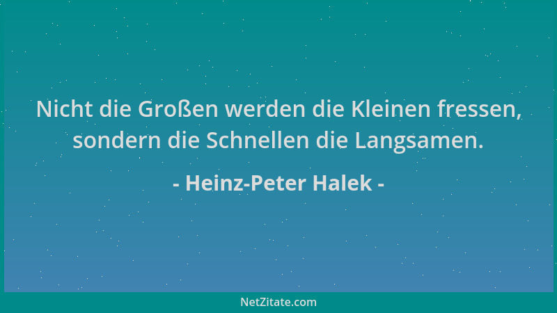 Heinz-Peter Halek - Nicht die Großen werden die Kleinen fressen, sondern die Schnellen die Langsamen....