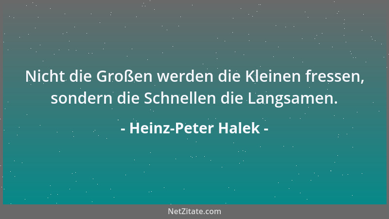 Heinz-Peter Halek - Nicht die Großen werden die Kleinen fressen, sondern die Schnellen die Langsamen....