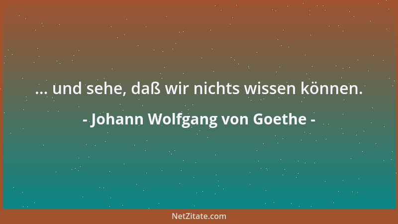 Johann Wolfgang von Goethe - ... und sehe, daß wir nichts wissen können....